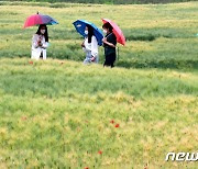 충남 공주에 강풍·호우주의보..대전 호우특보 해제(종합)