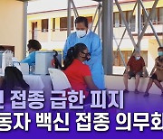 백신 접종 급한 피지 "백신 접종 없인 일자리도 없다"