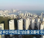 이달 부산 아파트값 상승률 오름세 '주춤'