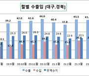 올해 대구·경북 수출 486억 달러 전망..코로나19 극복