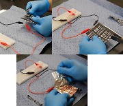 둘둘 말아 연결해도 전원이 번쩍.. 꿈의 전지 상용화 한발짝