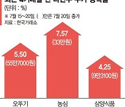 오뚜기의 라면값 인상, 음식료주 반등 신호탄 됐다