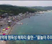 울산 해역에 맹독성 해파리 출현.."물놀이 주의해야"