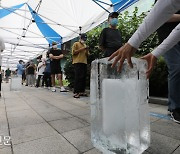 델타 변이 전파 빨라..'우세 변이' 시기 당겨질 듯