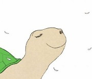 [그림책 한조각]초록 거북