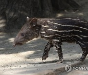 HUNGARY ANIMALS