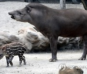 HUNGARY ANIMALS