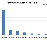 [즉시연금 분쟁] 미래에셋부터 삼성생명까지.. 생보사, 4년간 한곳 빼고 다 졌다