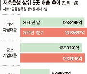 개인·법인사업자 대출 한도 확대에도 저축銀 못 웃는 이유