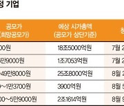 역대급 흥행 앞둔 카뱅.."1주라도 받자" 눈치싸움 예고 [막오른 IPO 슈퍼위크]