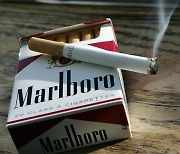 "말보로 담배, 10년 내 판매 중단하겠다" 필립모리스 CEO의 선언