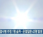 공주서 열사병 추정 1명 숨져..온열질환 43명 발생