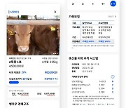 [Feature] From cows to Rolex, young investors in Korea eye new alternative investment