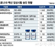 mRNA 백신도 임상 승인..국내 코로나 백신 개발 속도