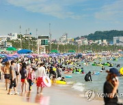 대천해수욕장 피서 인파