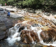 전북 연일 33도 웃도는 폭염..유명산·계곡에 피서 인파