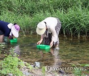 "다슬기 잡으며 무더위 날려요"