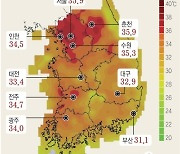 [그래픽] 25일 지역별 최고기온