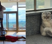 '한재석♥' 박솔미, 고양이 앞 굴욕적인 자세 '폭소'.."간절함의 끝에서"