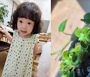 '백종원♥' 소유진, 삼남매 위해 집에 식충식물 키우기 시작 "막내딸은 파리 연기까지"