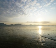 '한국의 갯벌' 유네스코 세계자연유산 됐다, 국내 두번째