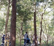 서귀포 '치유의 숲'에 보행약자 위한 '무장애 나눔길' 조성
