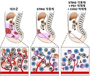 분당차병원, '센서 단백질' 이용한 대장암 치료법 개발