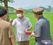 '2주째 폭염' 북한, 대부분 지역서 농작물 피해.."벼 생육 지장"