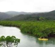 일본 오키나와·가고시마 4개 섬, 세계자연유산 등재