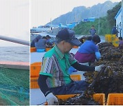 와~ 12년간 3000회.. 한국 속 한국 찾기 대장정