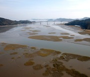 '반려' 두 달만에 반전..'한국의 갯벌' 세계자연유산 됐다