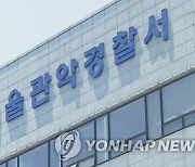 서울 곳곳 불법영업..심야카페·무허가 유흥주점 적발(종합)