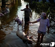 中 허난성 홍수에 가축 100만마리 폐사..전염병 확산 우려
