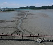 유네스코 세계유산에 오른 한국의 갯벌
