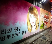 '쥴리의 남자들' 종로 한 골목어귀 윤석열 부인 김건희씨 비방 벽화 등장
