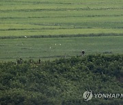 철책 보수하는 북한군