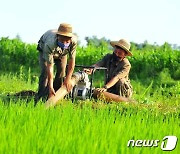 북한 "한포기의 곡식도 가물 피해를 받지 않게"
