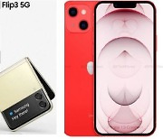 '폴더블폰 올인' 삼성 vs '5G폰 1위' 애플, 하반기 대격돌