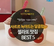 [카드뉴스] 사르르 녹아내리는 달콤함, 젤라또 맛집 BEST 5