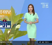 [날씨] 부산 11일째 폭염특보 발효..온열 질환 주의