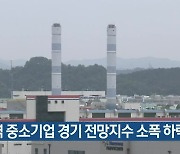 대전·세종·충남지역 중소기업 경기 전망지수 소폭 하락