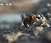 "새만금 반입 철강 슬래그 유해".."법적 조사항목 아냐"