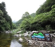 경기도 "하천·계곡 불법시설 적발 때 즉시 강제 철거"