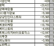 [표]코스닥 외국인 연속 순매도 종목(29일)