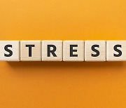 '과도한 스트레스'는 판단력을 흐리게 만든다 (연구)