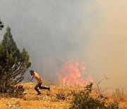 '일단 대피부터'..레바논 북부 산불