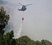 '군용 헬기 투입'..레바논 북부 산불 발생