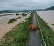 섬진강댐 수해 7개 시·군, 환경부에 손해배상·재발방지책 촉구