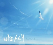코요태, 오늘(30일) 리메이크 싱글 '바다새' 발매