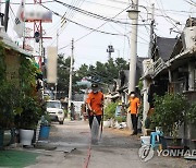 송파구 장지화훼마을 폭염대응 살수 지원